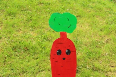 Agrandir l'image 67 sur 120, fenêtre modale