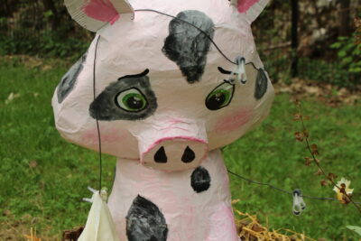 Agrandir l'image 62 sur 120, fenêtre modale