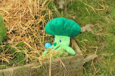 Agrandir l'image 109 sur 120, fenêtre modale