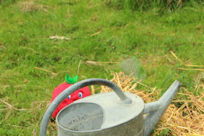 Agrandir l'image 61 sur 120, fenêtre modale