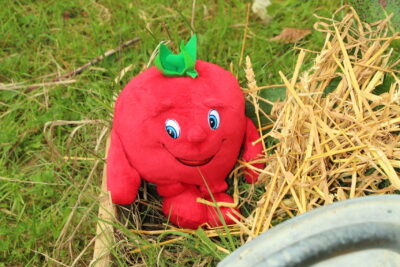 Agrandir l'image 60 sur 120, fenêtre modale