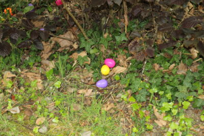 Agrandir l'image 58 sur 120, fenêtre modale