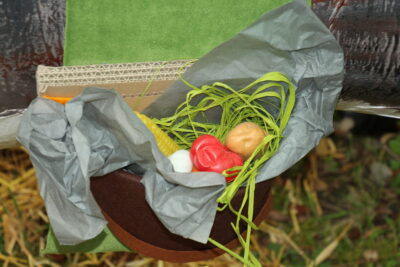 Agrandir l'image 57 sur 120, fenêtre modale