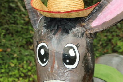 Agrandir l'image 56 sur 120, fenêtre modale