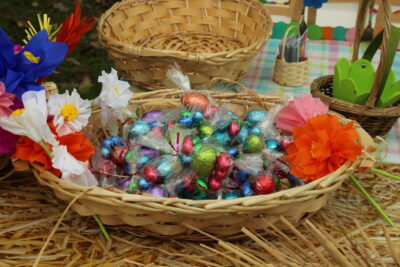 Agrandir l'image 55 sur 120, fenêtre modale