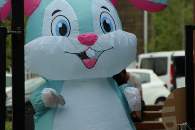 Agrandir l'image 50 sur 120, fenêtre modale