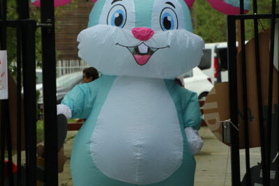 Agrandir l'image 49 sur 120, fenêtre modale