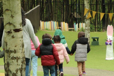 Agrandir l'image 43 sur 120, fenêtre modale