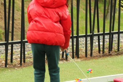 Agrandir l'image 31 sur 120, fenêtre modale