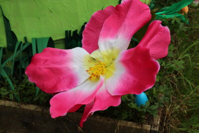 Agrandir l'image 16 sur 120, fenêtre modale