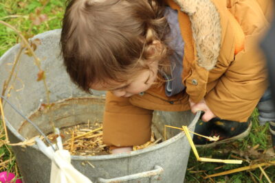 Agrandir l'image 12 sur 120, fenêtre modale