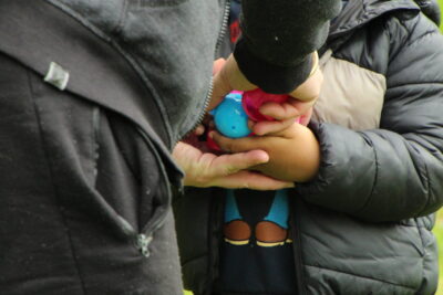 Agrandir l'image 10 sur 120, fenêtre modale