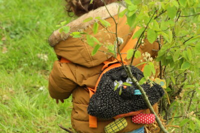 Agrandir l'image 9 sur 120, fenêtre modale