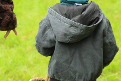 Agrandir l'image 101 sur 120, fenêtre modale