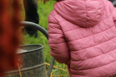 Agrandir l'image 5 sur 120, fenêtre modale