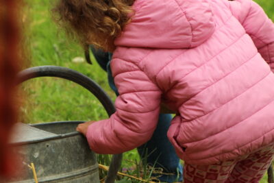 Agrandir l'image 4 sur 120, fenêtre modale