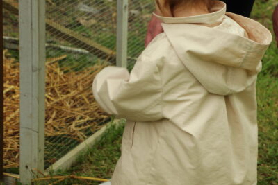 Agrandir l'image 3 sur 120, fenêtre modale