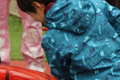 Agrandir l'image 2 sur 120, fenêtre modale