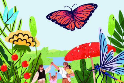 Agrandir l'image, fenêtre modale