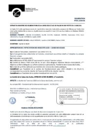 Agrandir l'image, fenêtre modale