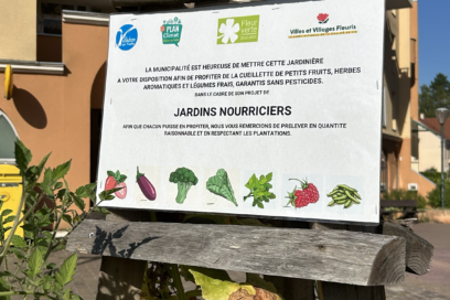 Agrandir l'image, fenêtre modale