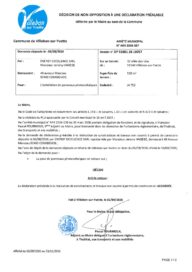 Agrandir l'image, fenêtre modale
