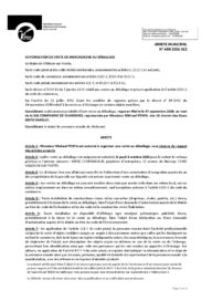 Agrandir l'image, fenêtre modale