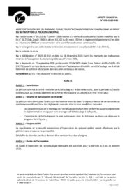 Agrandir l'image, fenêtre modale