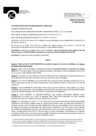 Agrandir l'image, fenêtre modale